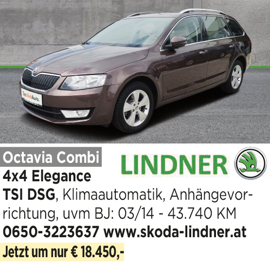 Skoda Lindner