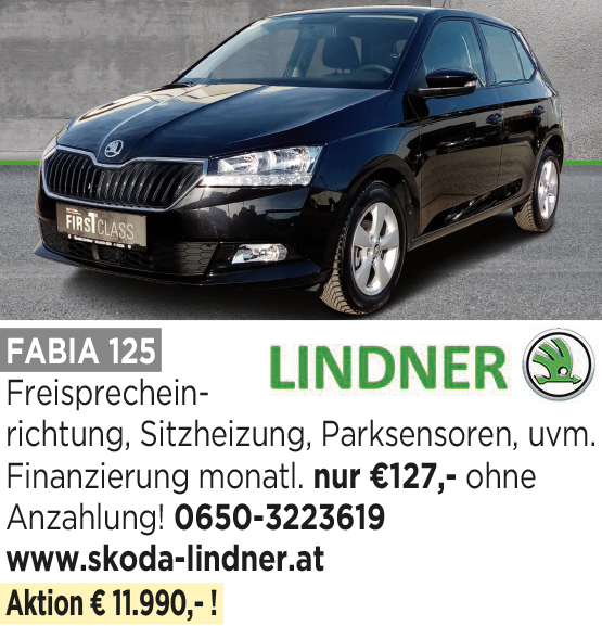 Skoda Lindner